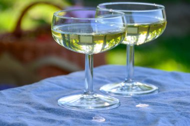 Beyaz şaraplı, köpüklü, yeşil Pinot Noir manzaralı, Hautvillers, Champagne, France 'ın üzüm bağlarının tadına bakmak..