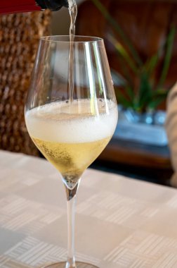 Grand Cru şarabının tadı köpüklü beyaz şarap Grand Cru şarap üreticisi küçük bir köy olan Ambonnay, Champagne, Fransa 'daki eski şampanya evinde şampanya.