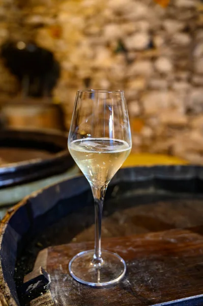 stock image Tasting of grand cru sparkling brut white wine with bubbles champagne by old champagne caves in grand cru wine producer small village Cramant, Champagne, France