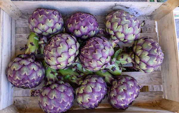 Большой Фиолетовый Глобус Овощами Фермерском Рынке Бриттани Весна Франции — стоковое фото