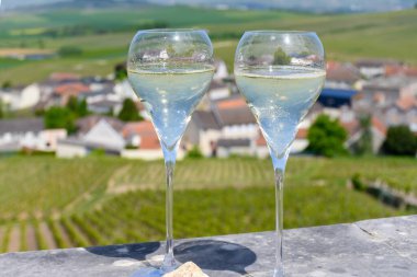 Büyük cru tatmak köpüklü beyaz şarap şampanya ile yaz manzaralı evler ve üzüm bağları büyük cru şarap üreticisi küçük köy Cramant, Champagne, France