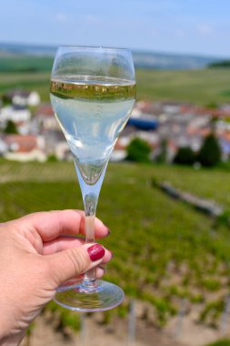 Büyük cru tatmak köpüklü beyaz şarap şampanya ile yaz manzaralı evler ve üzüm bağları büyük cru şarap üreticisi küçük köy Cramant, Champagne, France