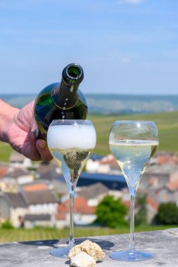 Büyük Cru köpüklü beyaz şarap, şampanya, yazlık manzaralı evler ve üzüm bağları, büyük Cru şarap üreticisi küçük köy Cramant, Champagne, France