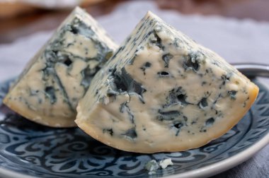 Peynir koleksiyonu, bir parça Fransız peyniri Auvergne ya da dört tane d 'Ambert yakın çekim..