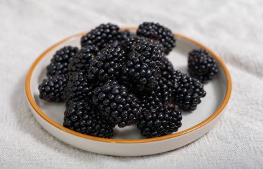 Taze taze böğürtlen böğürtlenleri yeni hasat.