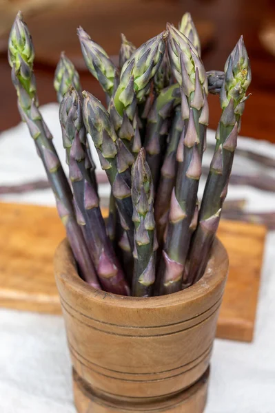 Spring season, new harvest of Dutch, German purple asparagus, bunch of raw purple asparagus.