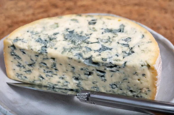 Cheese Collection Piece French Blue Cheese Auvergne Fourme Ambert Close — Stock Photo, Image