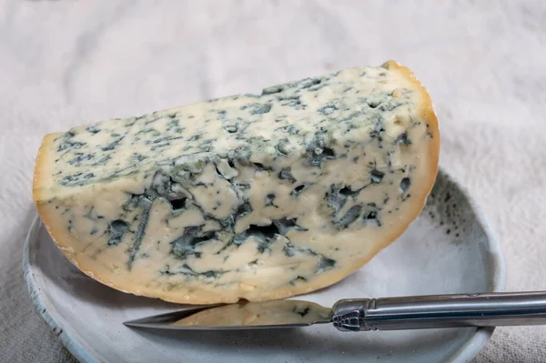 Cheese Collection Piece French Blue Cheese Auvergne Fourme Ambert Close — Stock Photo, Image