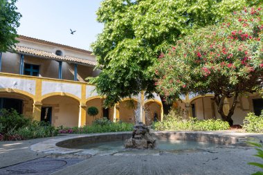 Güney Fransa 'nın Provence Alps Alpleri' nde şarap üretimi, Ju 'daki üzüm bağları Saint-Tropez kasabası yakınlarında taze yeşil üzümler, Cotes de Provence şarabı