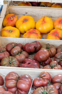 Fransız salata domatesleri, Provence, Fransa 'da pazar yerinde yeni hasatlı büyük aile yadigarı domatesler.