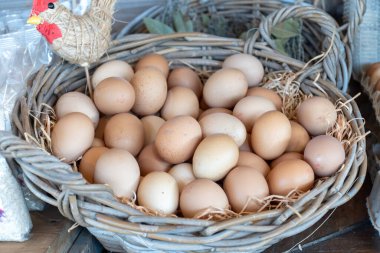 Organik kahverengi tavuk yumurtaları. Hınzır sepetin içindeki organik çiftlikten.