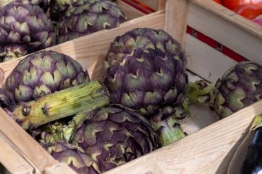 Taze organik enginar başları, yenilebilir sebzeler pazarda mor Romanesco enginarları..