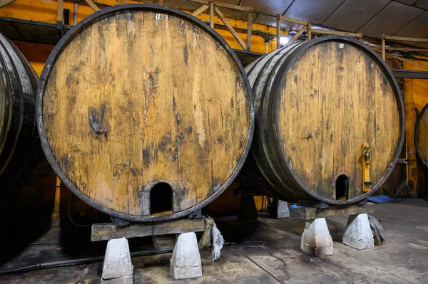 Making Traditional Natural Asturian Cider Made Fermented Apples Barrels Several — Stock Photo, Image