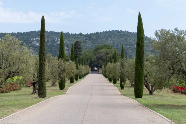 stock image Scenic Provencal castle cypress and olive trees alley in summer.