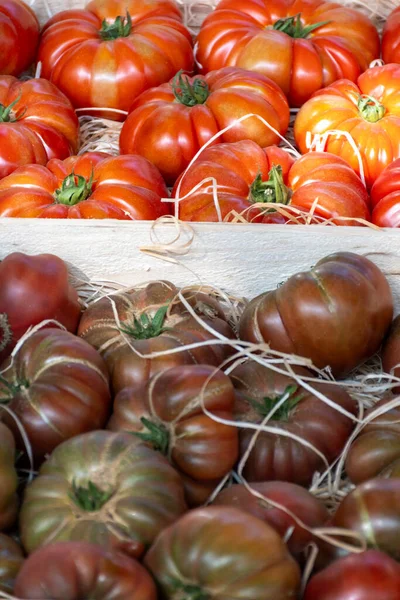 Sortimento Tomates Salada Franceses Nova Colheita Tomates Herança Grandes Mercado — Fotografia de Stock