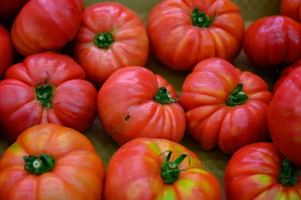 Assortimento Pomodori Insalata Francese Nuovo Raccolto Pomodori Cimelio Grandi Sul — Foto Stock