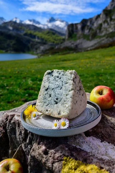 Kabrale Rzemieślniczy Ser Błękitny Produkowany Przez Rolników Obszarów Wiejskich Asturii — Zdjęcie stockowe