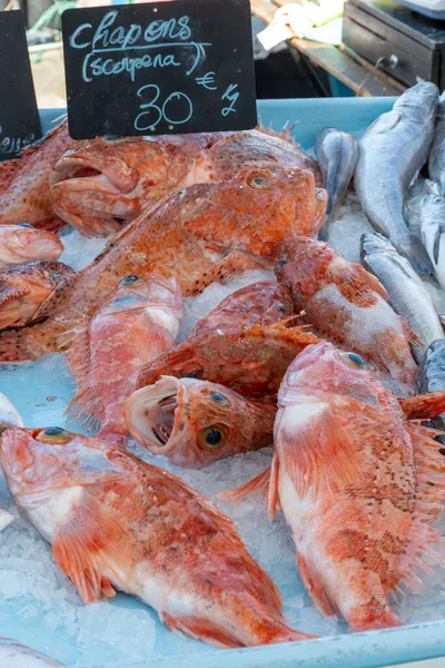 Captura Dia Para Venda Mercado Diário Peixe Antigo Porto Marselha — Fotografia de Stock
