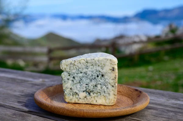 卡布拉莱斯 西班牙阿斯图里亚斯农村奶农用牛奶或与山羊混合制成的手工蓝奶酪 羊奶与Picos Europa山和Covadonga湖混合而成 — 图库照片