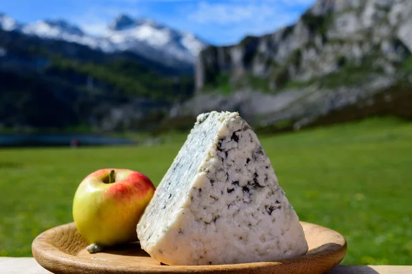 西班牙熏制的硬奶酪来自普里亚 由西班牙阿斯图里亚斯的农村奶农用巴氏杀菌牛奶制成 或与皮科斯德欧罗巴的山羊或羊奶混合而成 看奶牛和牧场 — 图库照片