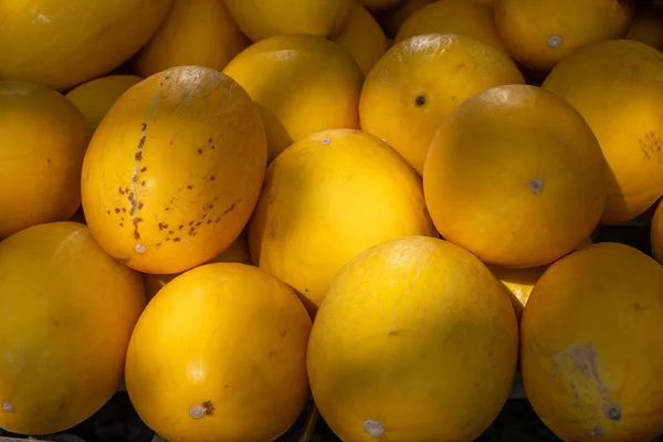 stock image Yellow honey from Cavaillon, ripe round charentais honey cantaloupe melons on local market in Provence, France, close up