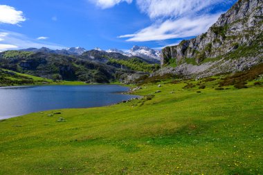 Lagos de Covadonga Dağı ve yeşil çayır, Picos de Europa Dağları, Asturias, İspanya 'nın kuzeyi