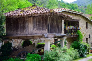 Horreo, Cangas de Onis yakınlarında sütunları olan tipik ahşap ambar, Picos de Europa dağları, Asturias, İspanya 'nın kuzeyi