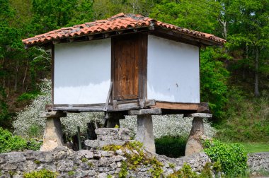 Horreo, Cangas de Onis yakınlarında sütunları olan tipik ahşap ambar, Picos de Europa dağları, Asturias, İspanya 'nın kuzeyi