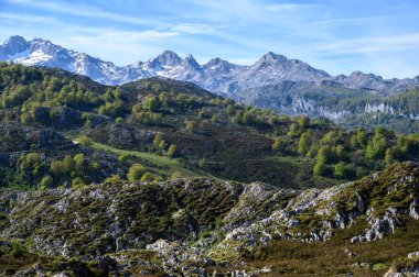 Cangas de Onis, Covadonga 'dan uzak dağ gölleri Lagos de Covadonga, Picos de Europa dağları, Asturias, İspanya' nın kuzeyi.