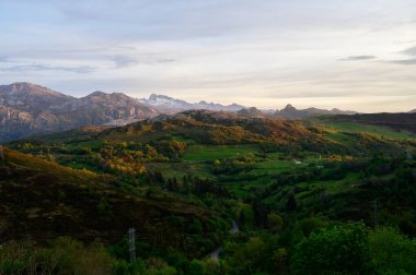 İspanya 'nın kuzeyindeki Asturias' ta arabayla dağ manzaralı yerlere giderken, Picos de Europa dağ sırasını görür