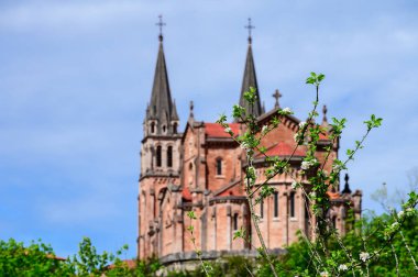 Santa Maria la Real de Covadonga, Asturias, İspanya 'nın kuzeyinde yaz manzarası