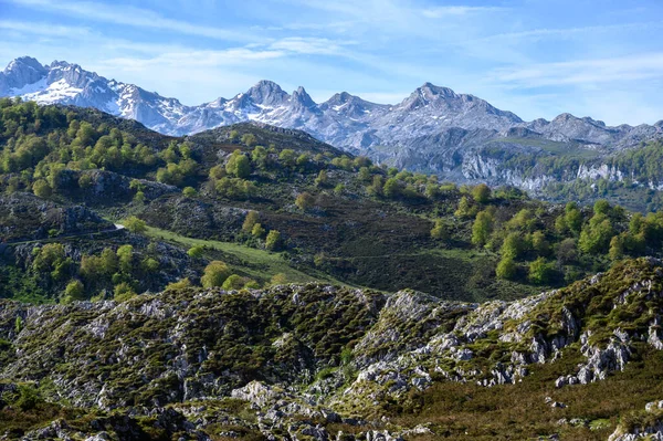 Blick Von Der Schmalen Bergstraße Von Cangas Onis Covadonga Den — Stockfoto
