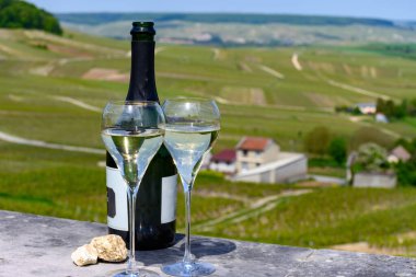 Büyük cru tatmak köpüklü beyaz şarap şampanya ile yaz manzaralı evler ve üzüm bağları büyük cru şarap üreticisi küçük köy Cramant, Champagne, France