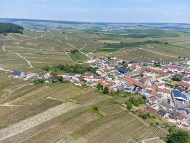 Yeşil büyük cru şampanya bağlarının panoramik hava manzarası ve Cramant köyünün evleri, Cotes des Blancs, Champange, Fransa