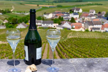 Büyük cru tatmak köpüklü beyaz şarap şampanya ile yaz manzaralı evler ve üzüm bağları büyük cru şarap üreticisi küçük köy Cramant, Champagne, France