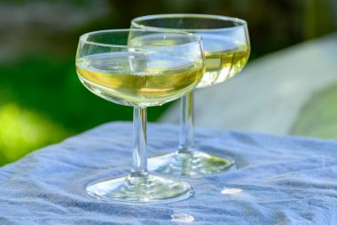 Beyaz şaraplı, köpüklü, yeşil Pinot Noir manzaralı, Hautvillers, Champagne, France 'ın üzüm bağlarının tadına bakmak..