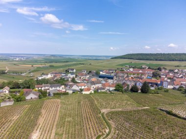 Yeşil büyük cru şampanya bağlarının panoramik hava manzarası ve Cramant köyünün evleri, Cotes des Blancs, Champange, Fransa