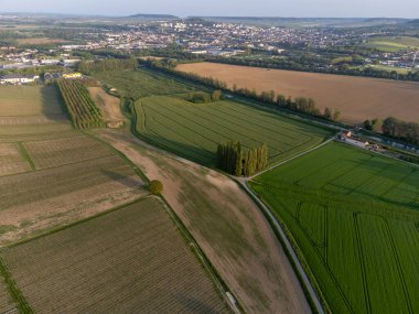 Hautvillers, Cumieres ve Marne River Valley, Champange, Fransa yakınlarındaki yeşil başbakanın panoramik hava manzaralı cru şampanya bağları ve tarlaları