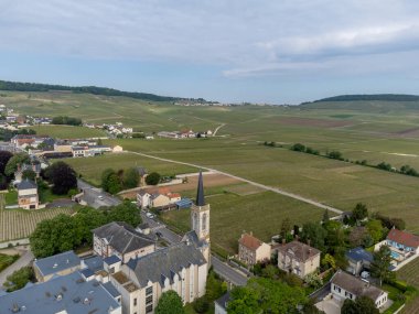 Avize ve Oger, Cotes des Blancs, Champange France köylerinin yakınlarındaki yeşil büyük cru şampanya bağlarında panoramik hava manzarası