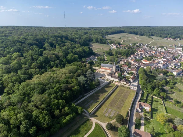 Panorama Luftaufnahme Der Grünen Premier Cru Trauben Champagner Weinberge Der — Stockfoto