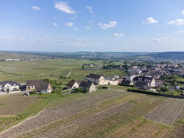 Panorama Luftaufnahme Der Grünen Weinberge Und Felder Von Premier Cru — Stockfoto