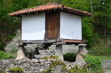 Horreo, Cangas de Onis yakınlarında sütunları olan tipik ahşap ambar, Picos de Europa dağları, Asturias, İspanya 'nın kuzeyi