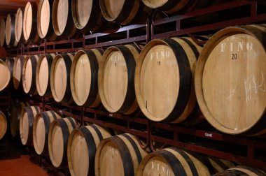 Şeri üçgenindeki Fransız meşe fıçılarında güçlendirilmiş Jeremy, Xeres, Sherry Oak Fıçıları, Jerez la Frontera, El Puerto Santa Maria ve Sanlucar Barrameda Endülüs, İspanya