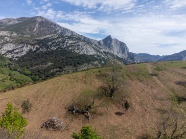 Yeşil Liebana Vadisi 'nin havadan görünüşü, evler ve dağlar, Cantabria, İspanya.