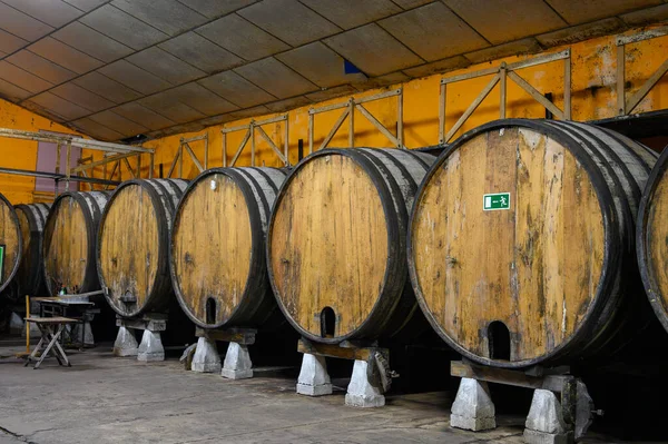 Fabricación Sidra Asturiana Natural Tradicional Hecha Manzanas Fermentadas Barriles Durante — Foto de Stock