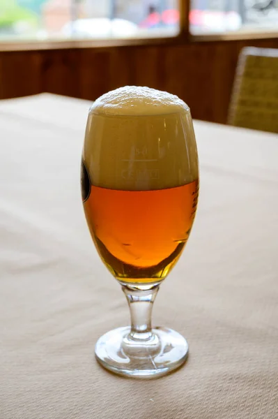 鲜饮啤酒或Ipa啤酒是在室内咖啡店就近供应的玻璃杯 一杯啤酒是在近端供应的 — 图库照片