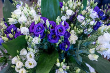 Hollanda serasında yetişen renkli çiçek buketi ustoma lisianthus veya prairie gentian, Hollanda florası, yakın plan, çiçek arkaplanı