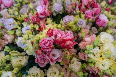 Hollanda serasında yetişen renkli çiçek buketi ustoma lisianthus veya prairie gentian, Hollanda florası, yakın plan, çiçek arkaplanı