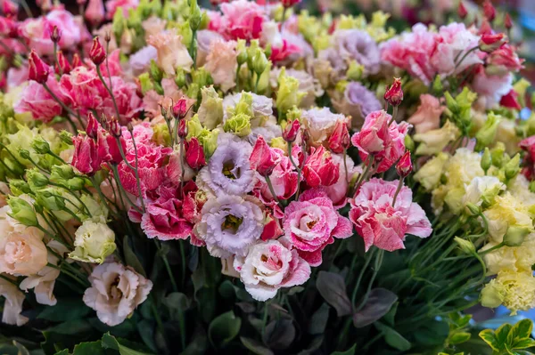 Πολύχρωμο Μπουκέτο Λουλούδια Ustoma Lisianthus Λιβάδι Γεντιανή Αυξάνεται Στην Ολλανδική — Φωτογραφία Αρχείου