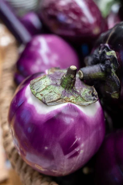 Різноманітність Свіжих Овочів Баклажанів Білих Графіті Фіолетових Круглих Баклажанів Фіолетовий — стокове фото